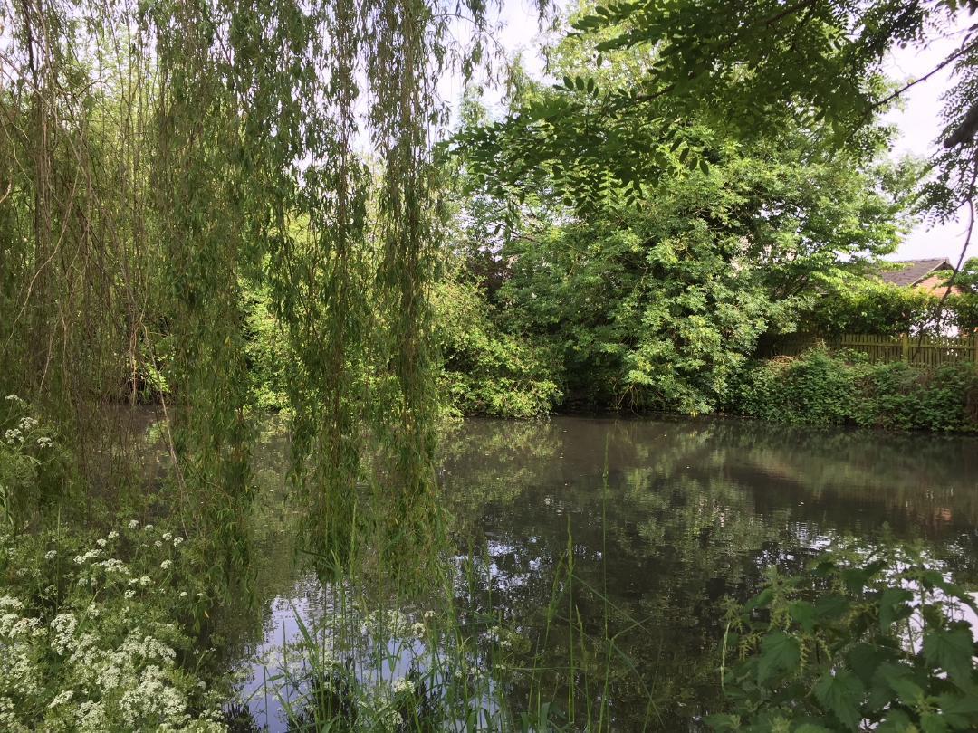 The Old Mill Alsager Bagian luar foto